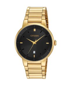 QUARTZ STANDARD MEN - BI5012-53E