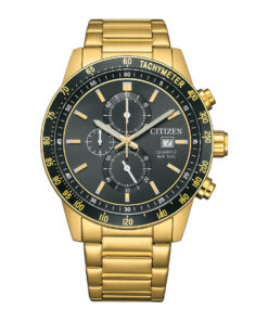 CHRONOGRAPH STANDARD - AN3682-54E
