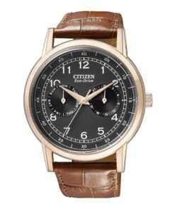 ECO-DRIVE MULTI FUNCTION DAY & DATE - AO9003-08E