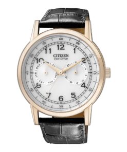 ECO-DRIVE MULTI FUNCTION DAY & DATE - AO9003-16A