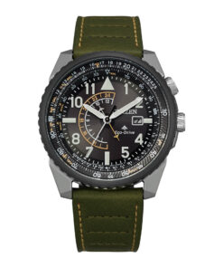 Promaster Nighthawk - BJ7138-04E